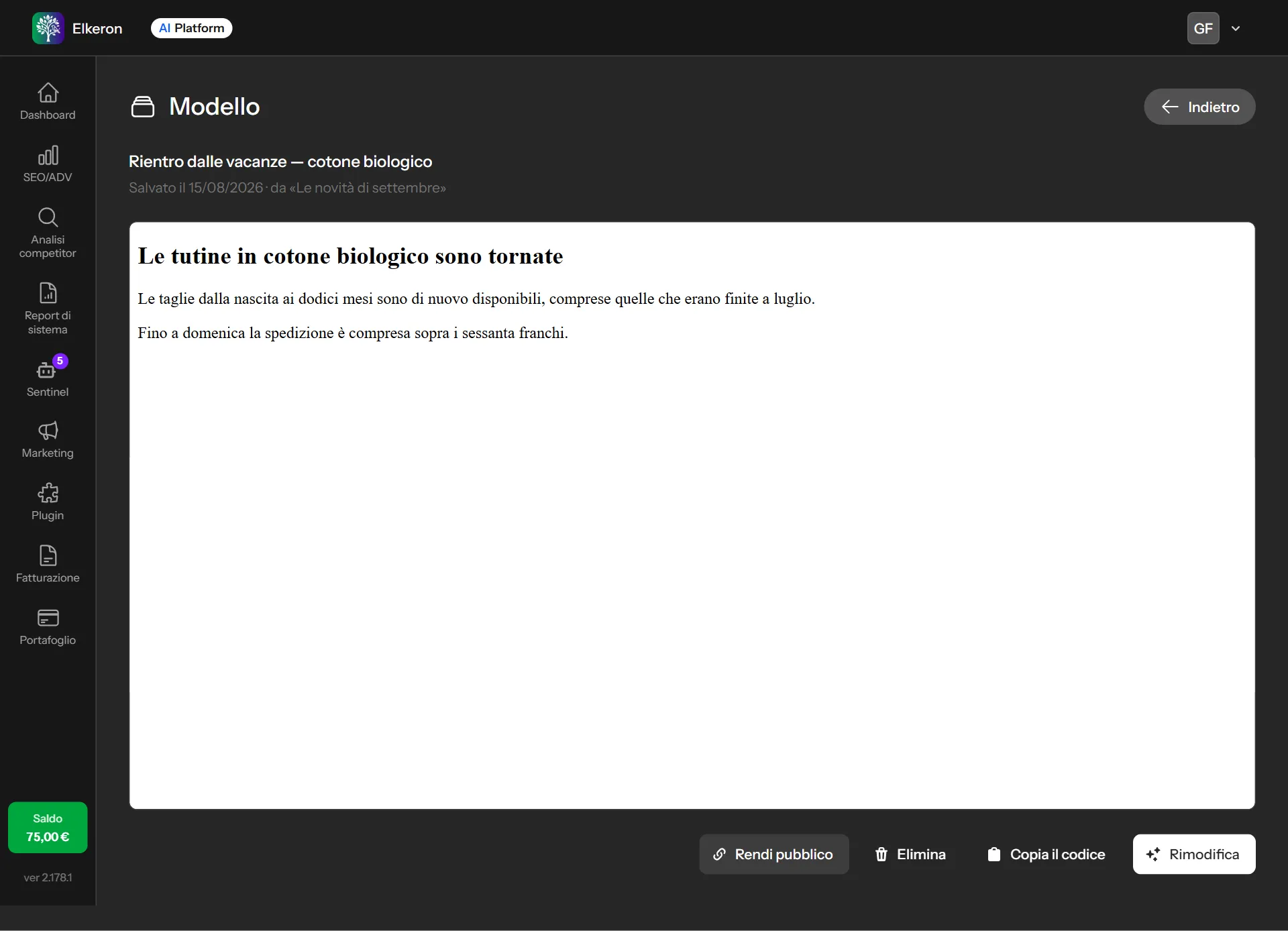 Un modello di newsletter aperto, con l'anteprima e i comandi